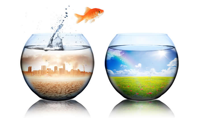 Umweltmanagement DIN EN ISO 14001